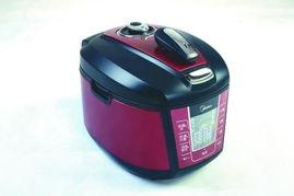 2010年度消費者最喜愛的小家電產品盤點